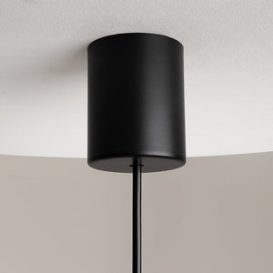 Pendant Light Black Metal Frame with White Glass Shade – The Sixth Sense Z020PL-L6B3K | Maytoni
