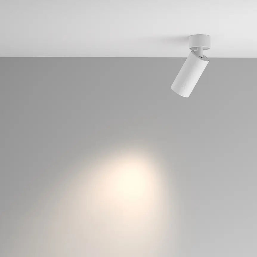 Ceiling Light White Aluminum Finish – Artisan | Maytoni