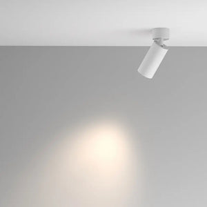 Ceiling Light White Aluminum Finish – Artisan | Maytoni