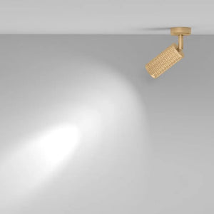 Ceiling lamp satin gold finish – Focus Design | Maytoni
