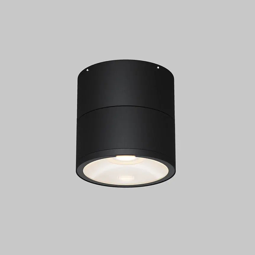 Ceiling light with swivel head Metal housing Glass diffuser – Spin | Maytoni