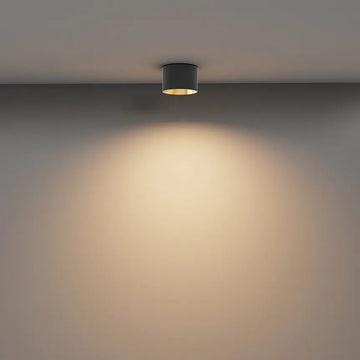 Deckenleuchte – Schwarz-Mattgold, Aluminium Gehäuse, 8 W Leistung - Vega | Maytoni