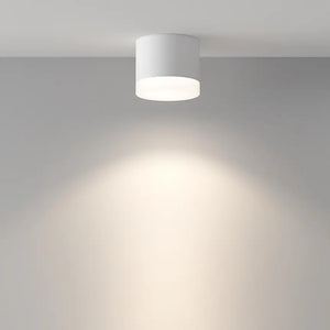 Ceiling light White aluminum GX53 socket Modern design & IP44 – Pauline | Maytoni