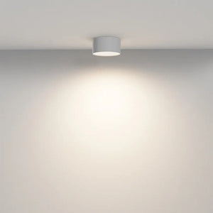 Deckenleuchte – Weißes Finish, Aluminium Gehäuse, 12W Leistung, Ø12 cm - Zon | Maytoni