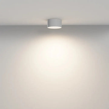 White aluminum ceiling lamp with integrated LED and warm white light – Zon | Maytoni