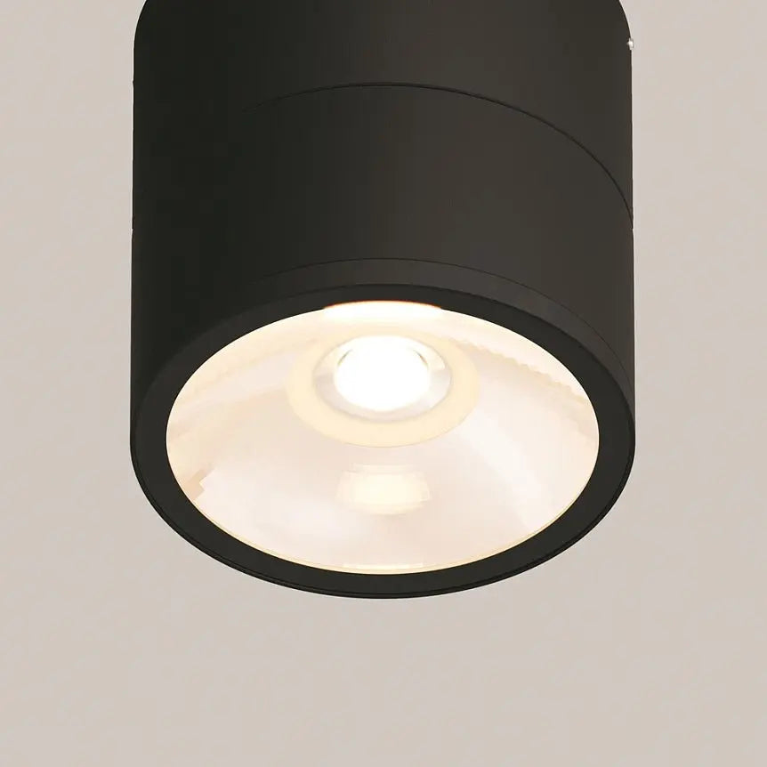 Ceiling light with swivel head Metal housing Glass diffuser – Spin | Maytoni