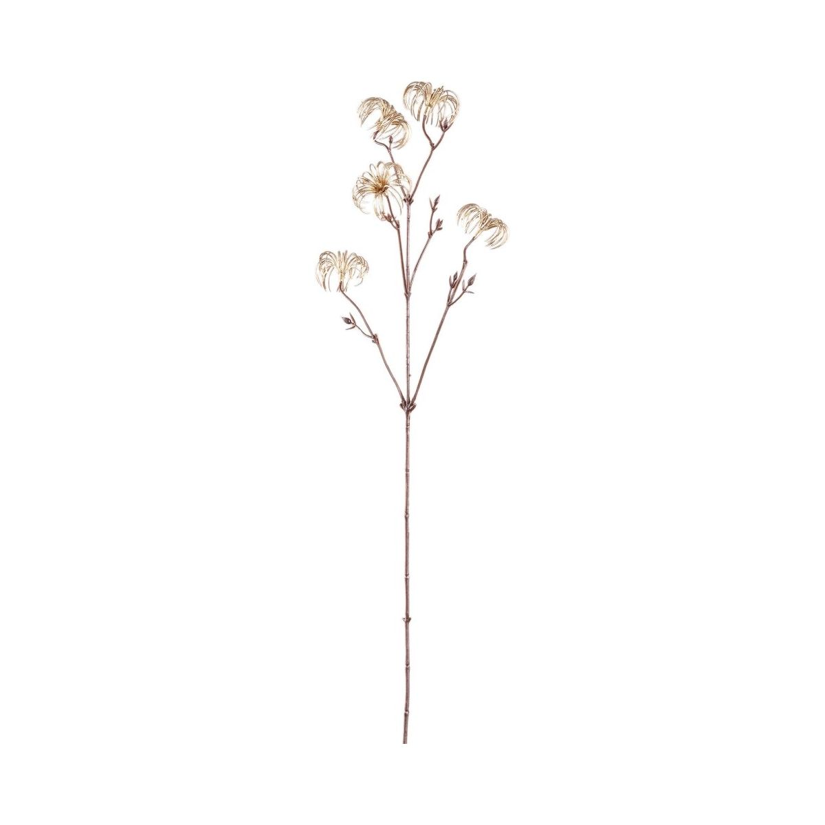 Zweig Pflanze Clematis Blume Gold Samen Spray. von PTMD - Esszett Luxury | Stilvolles Wohnen mit Charakter