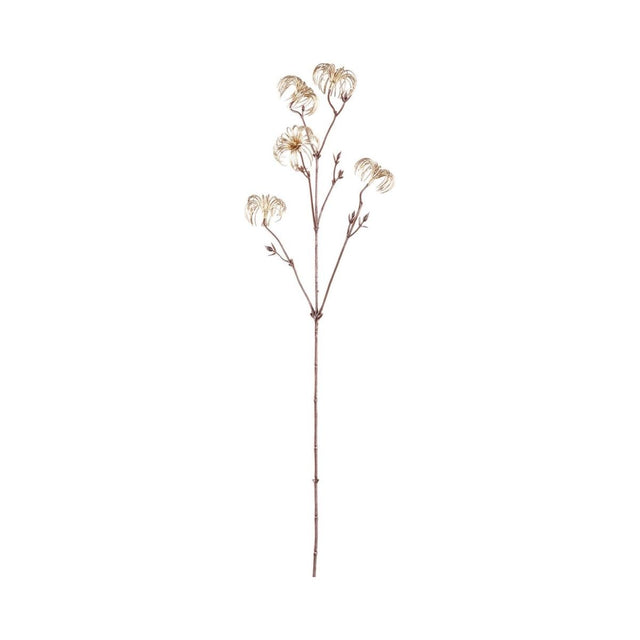 Zweig Pflanze Clematis Blume Gold Samen Spray. von PTMD - Esszett Luxury | Stilvolles Wohnen mit Charakter