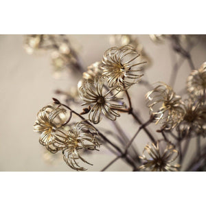 Zweig Pflanze Clematis Blume Gold Samen Spray. von PTMD - Esszett Luxury | Stilvolles Wohnen mit Charakter
