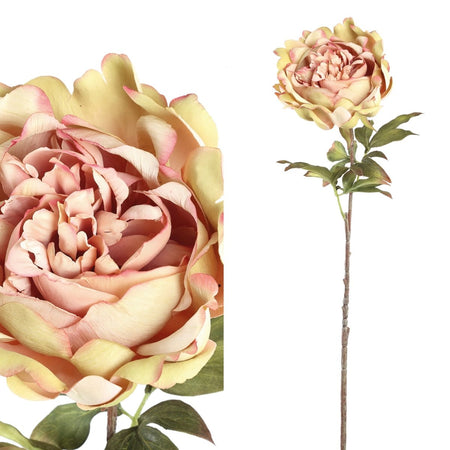 Kunstblume - Peony Flower cream pink peony stem - Esszett Luxury