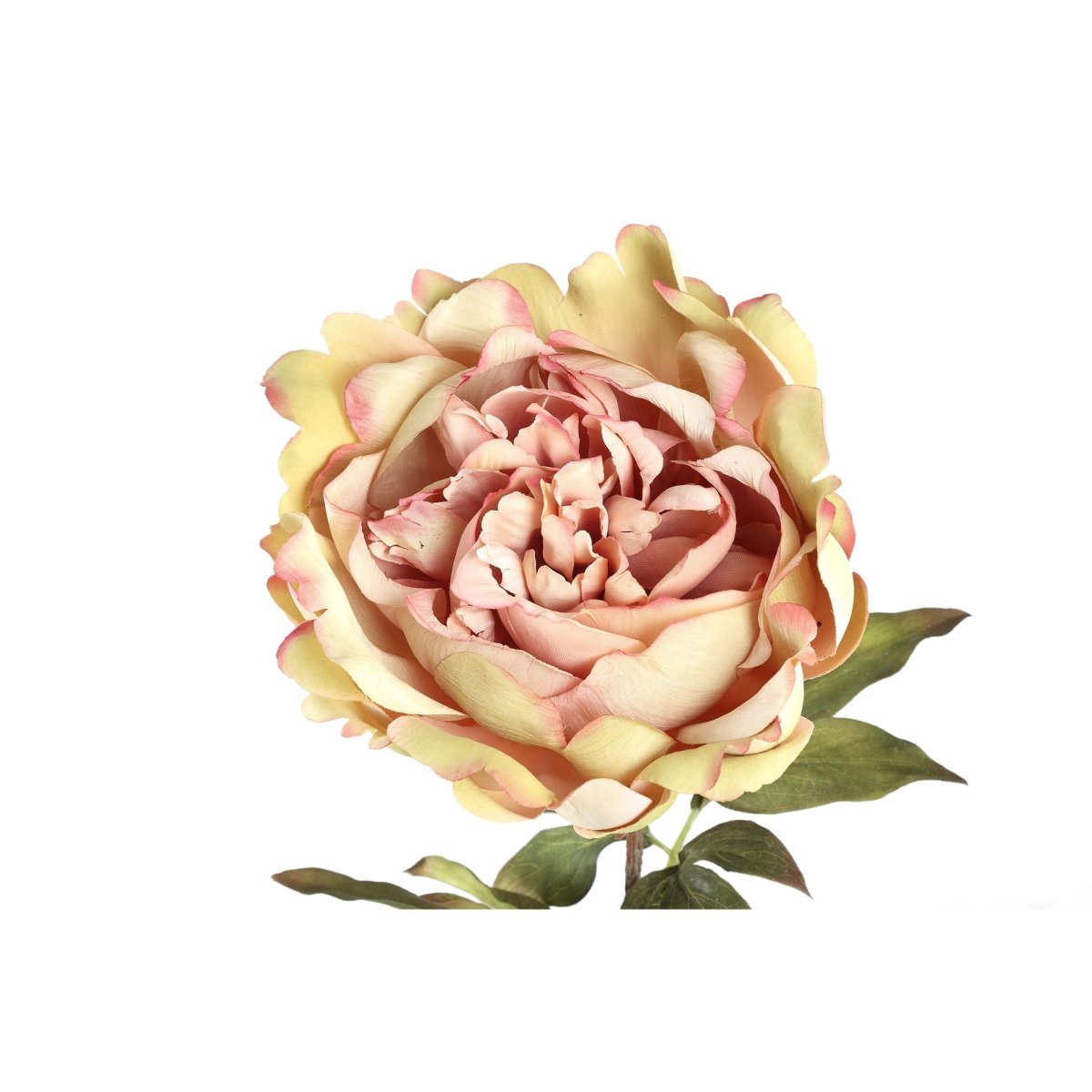 Kunstblume - Peony Flower cream pink peony stem - Esszett Luxury