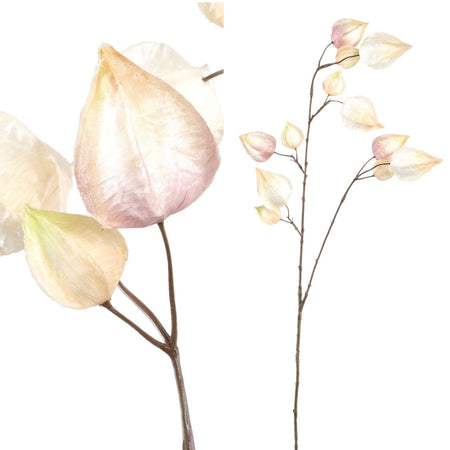 Kunstblume - Twig Plant cream Physalis - Esszett Luxury
