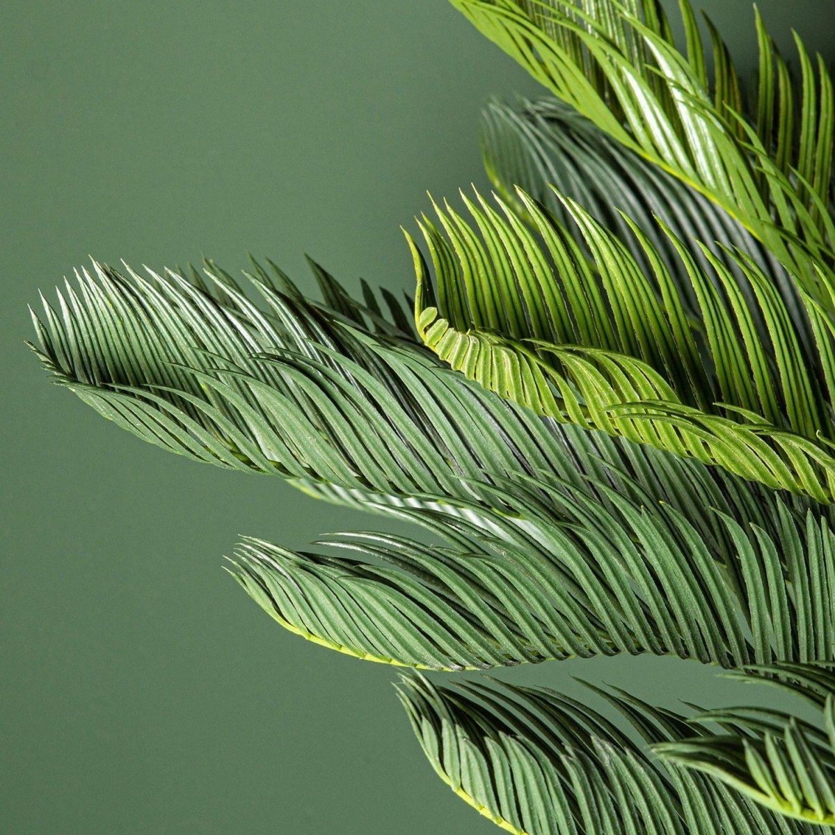 Kunstpalme - Tree Green cycas revoluta - Esszett Luxury