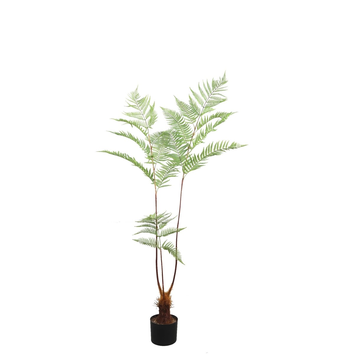 Kunstpflanze - Fern Plant green Schwertfarn - Esszett Luxury