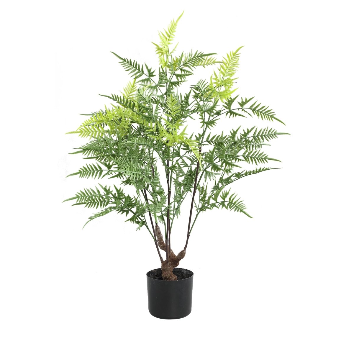 Kunstpflanze - Tree Green horsetail fern in black pot - Esszett Luxury