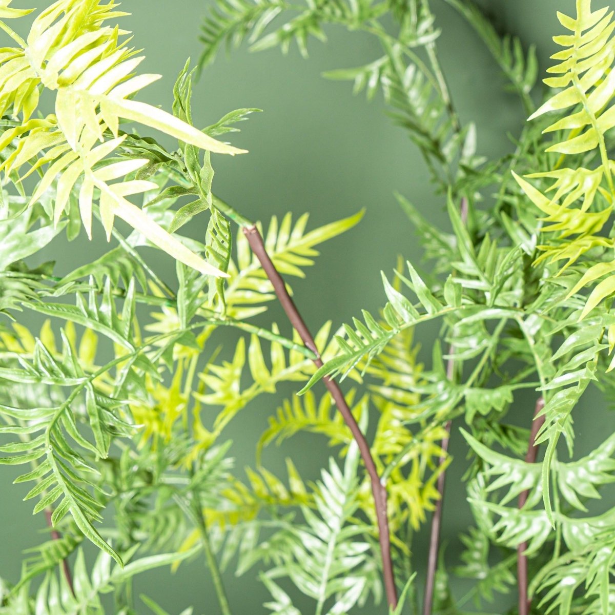 Kunstpflanze - Tree Green horsetail fern in black pot - Esszett Luxury