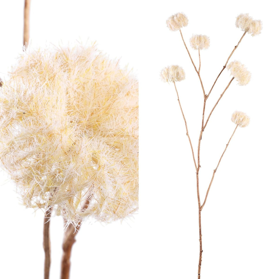 Kunstzweig - Dried Flower clematis seeds x6 - Esszett Luxury