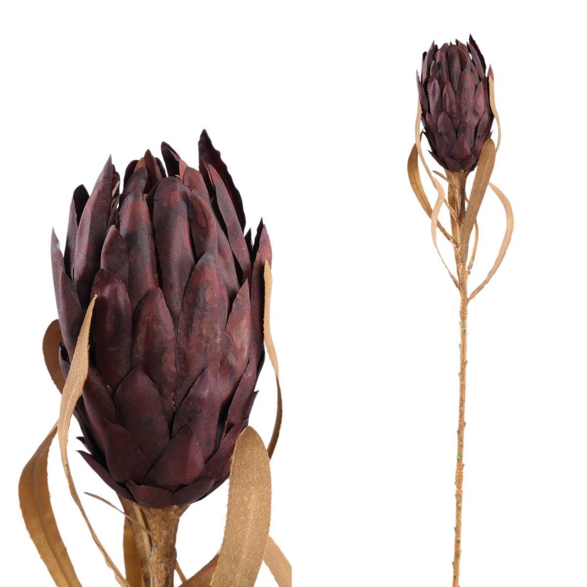 Kunstzweig - Twig Plant dark brown queen protea - Esszett Luxury