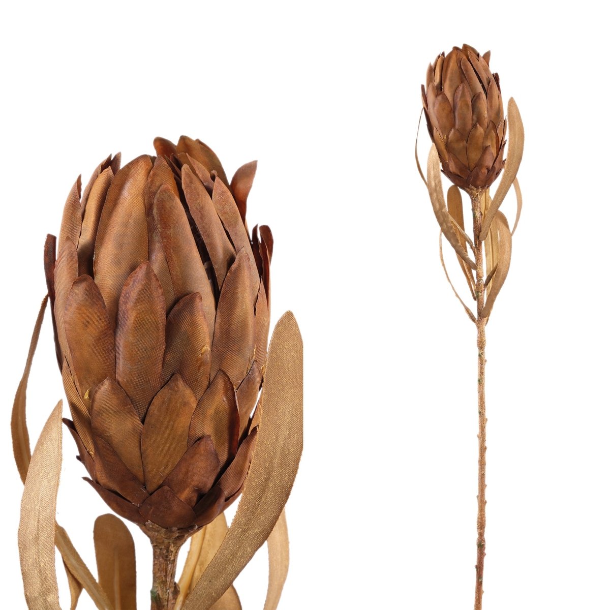 Kunstzweig - Twig Plant light brown queen protea - Esszett Luxury