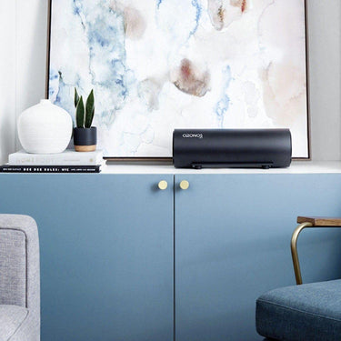 OZONOS Aircleaner Classic von OZONOS - Esszett Luxury | Stilvolles Wohnen mit Charakter