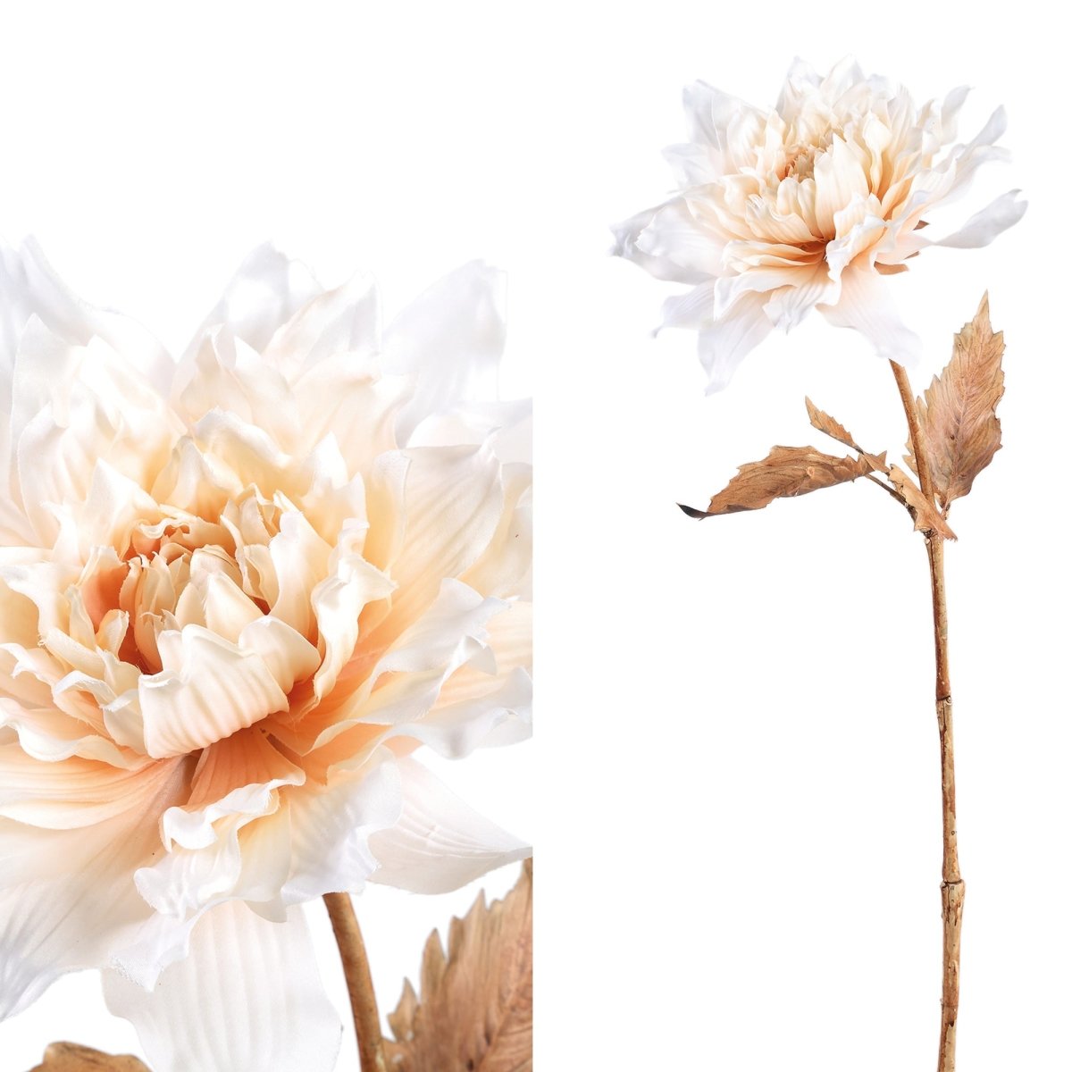 Trockenblume white dahlia spray - Esszett Luxury