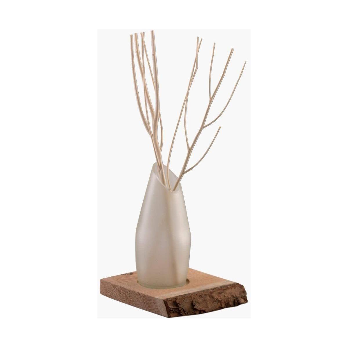 Waldholz Display Diffuser 200ml von We Love The Planet - Esszett Luxury | Stilvolles Wohnen mit Charakter